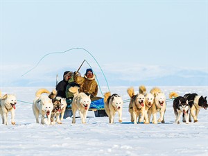 Kedardome Shutterstock_dog sledge_suņu pajūgs.jpg