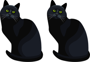 YCUZD_220801_4060_2 kaķi.png