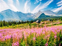 shutterstock_2197225225_spring_pavasaris.jpg