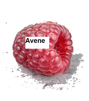 avene.PNG