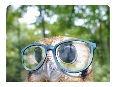 Mārtiņš Jirgensons