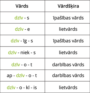 YCUZD_220811_4245_tabula 1_zaļa.png