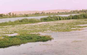 nile-river-20.jpg
