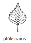 pluksn.png