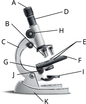 Mikroskops ar burtiem.png