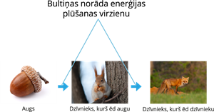 YCUZD_250731_7453_baribas_kede_ar tekstu.png