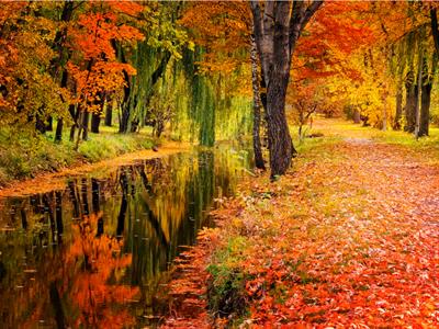 shutterstock_707632843 autumn.jpg
