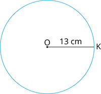 YCUZD_240624_6382_radiuss_9.png