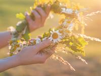 Shutterstock_1116362264_ligo wreath_līgo vainags.jpg