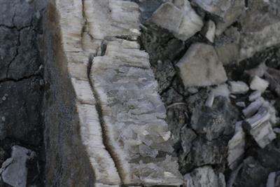 WhatsApp Image 2020-10-06 at 17.05.06.jpeg