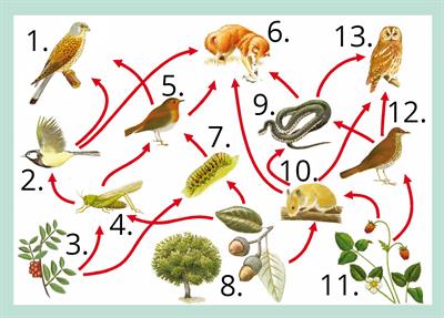 shutterstock_1929044759 10.jpg