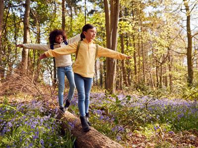 Shutterstock_2179590891_spring 15_pavasaris 15.jpg