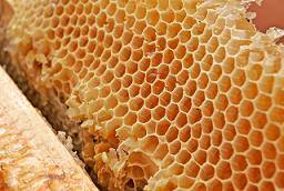 Honey_comb02.jpg