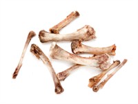 Shutterstock_643866613_bones_kauli.jpg