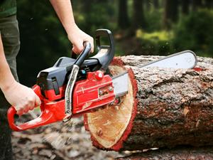 Shutterstock_1524973700_chainsaw_motorzāģis.jpg