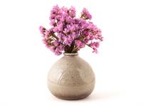 Shutterstock_1710290590_flower in vase_puķes vāzē.jpg