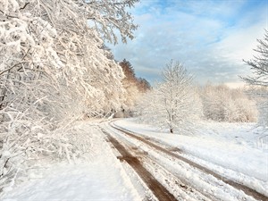 shutterstock_229958791_snowy landscape in Latvia_sniegota Latvijas ainava.jpg