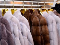 shutterstock_526819540_mink fur coats_ūdeļādas kažoki.jpg