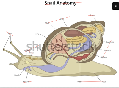 Screenshot 2026-03-10 112233.png