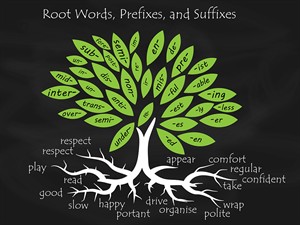 shutterstock_2194715349_root words prefixes and suffixes_sakņu vārdi prefiksi un sufiksi.jpg