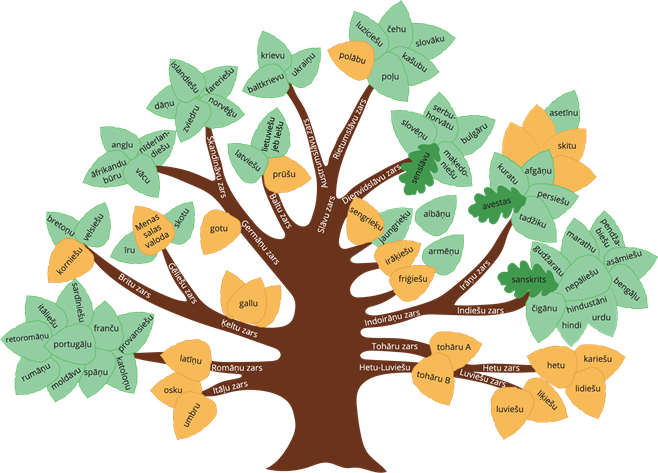 Valodu koks bez dzīslām.png