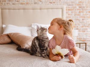 Shutterstock_689876338_girl with cat_meitene ar kaķi.jpg