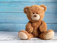 Shutterstock_1462644461_teddy bear_plīša lācis.jpg