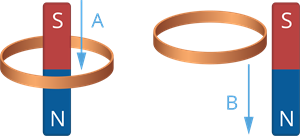 YCUZD_251017_7690_magnētisms_5.png