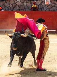 Shutterstock_2363128627_bullfighter_matadors.jpg