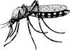 YCUZD_260930_8604_ods.png