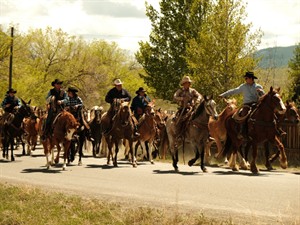 slambeth Shutterstock_horse drive event_zirgu pajūgu pasākums.jpg