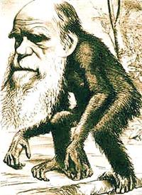 darwinsomabe_02.jpg