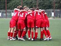 Olga Dmitrieva Shutterstock_football team_futbola komanda.jpg