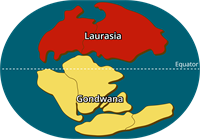 YCUZD_260323_8080_Gondwana and Laurasia.png