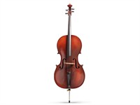 shutterstock_2238689553_cello_čells.jpg