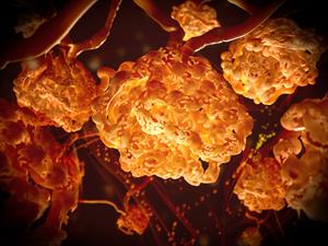 shutterstock_1052865302_Renal corpuscles_Nieres ķermenītis.jpg