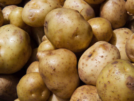 potatoes-b268c0ebe5781083cc9d91be321d714b570a0183-s6-c30.png