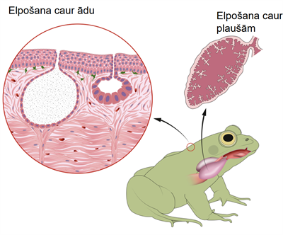 Screenshot 2026-03-09 154422.png