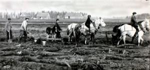 jaunsaimnieki ar zirgiem.jpg