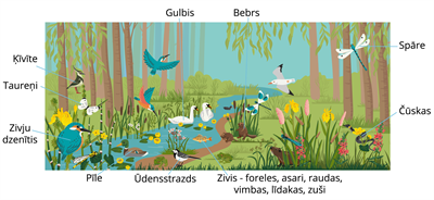 YCUZD_250731_7453_upe_ar dzivniekiem.png