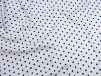 shutterstock_2437976857_polka dot pattern_punktots audums.jpg