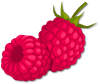 YCUZD_220603_3865_avene_raspberry.png