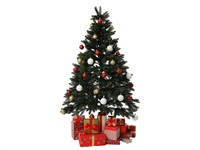 shutterstock_2376030951_christmas tree_ziemassvētku eglīte.jpg