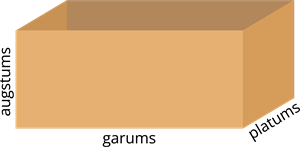 YCUZD_260303_7964_kaste (1).png