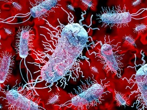 shutterstock_2340806815_bacteria_baktērijas.jpg