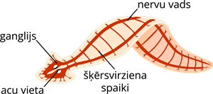 YCUZD_220818_4302_5.png