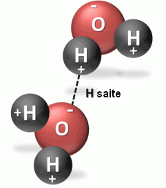 HydrogenBond-250x328.png