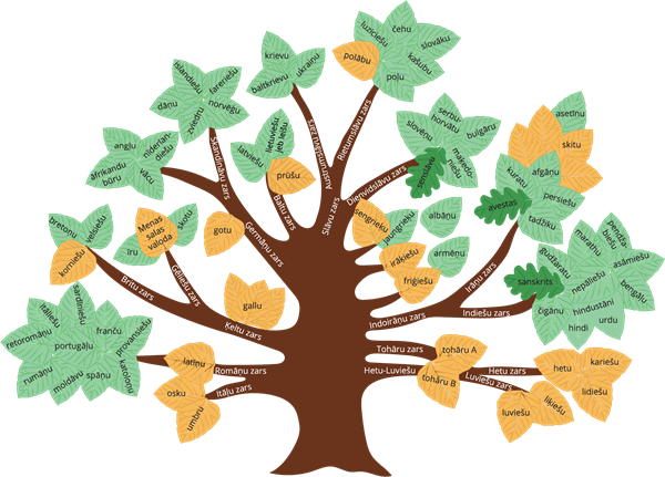 Valodu koks izlabots.png