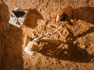 shutterstock_1955212861_Paleontologists Cleaning Newly Discovered Dinosaur Skeleton_Paleontologi tīra atklāto dinozaura skeletu.jpg