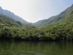 800px-Sumidero_ecotourism_reserve.JPG